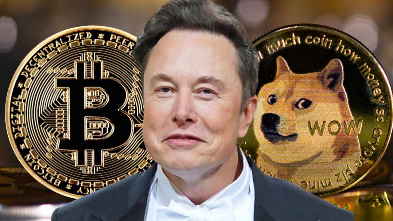 Read more about the article Exploring the Phenomenon of Dogecoin From Parody Cryptocurrency to Meme Coin Sensation